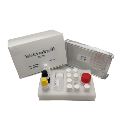 Ilościowy zestaw do wykrywania alfa-fetoproteiny Elisa AFP w ludzkiej surowicy