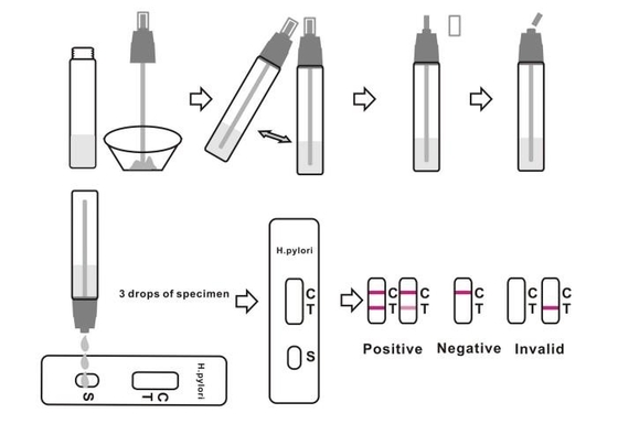 CE zatwierdził szybki test na antygen H Pylori w domu