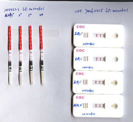 Strona główna CLO Clonazepam Test na narkotyki w moczu 400ng/Ml
