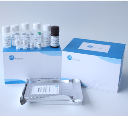 Enzym konwertujący angiotensynę I ACE Elisa Test Kit INVBIO