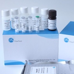 Zestaw Elisa z certyfikatem Fsc Human Ifnw1 Interferon Omega-1